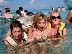 Three women react as a stingray jumps out of the water to surprise them from behind